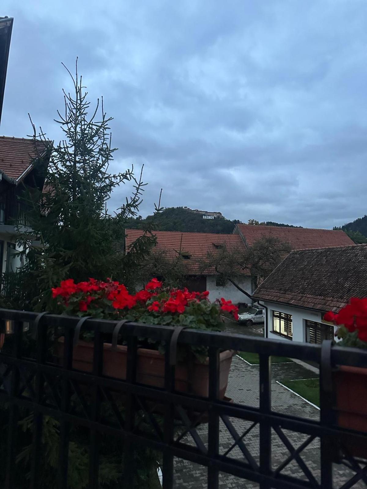 Pensiunea Casa Saxonia Rîşnov Exteriör bild