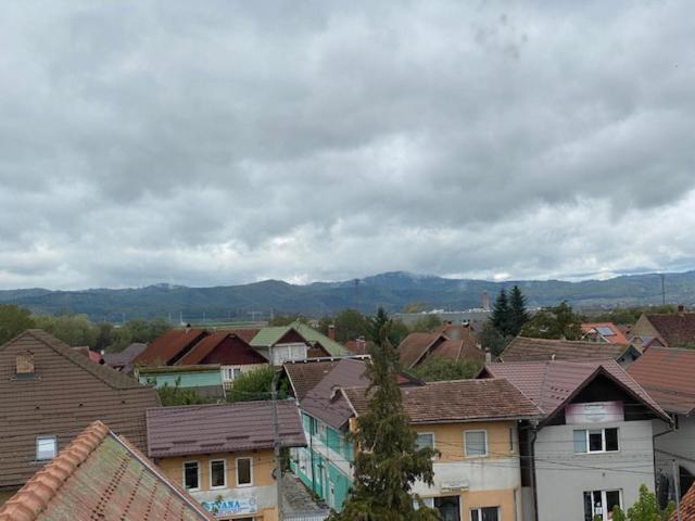 Pensiunea Casa Saxonia Rîşnov Exteriör bild