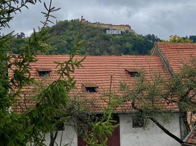 Pensiunea Casa Saxonia Rîşnov Exteriör bild