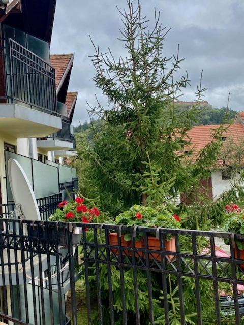 Pensiunea Casa Saxonia Rîşnov Exteriör bild