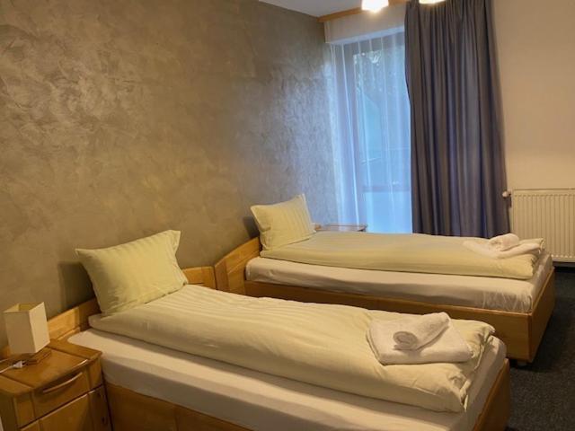 Pensiunea Casa Saxonia Rîşnov Exteriör bild